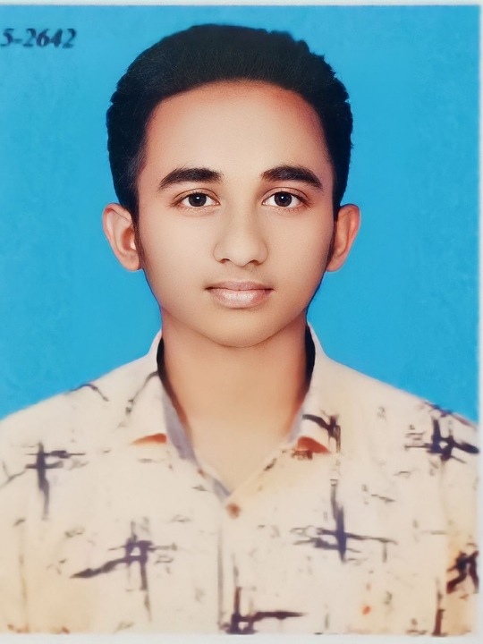 Mahamid Hosen Mahi