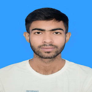 Md. Nahid Hossain